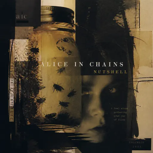 Roblox Piano Sheets - Nutshell by Alice In Chains